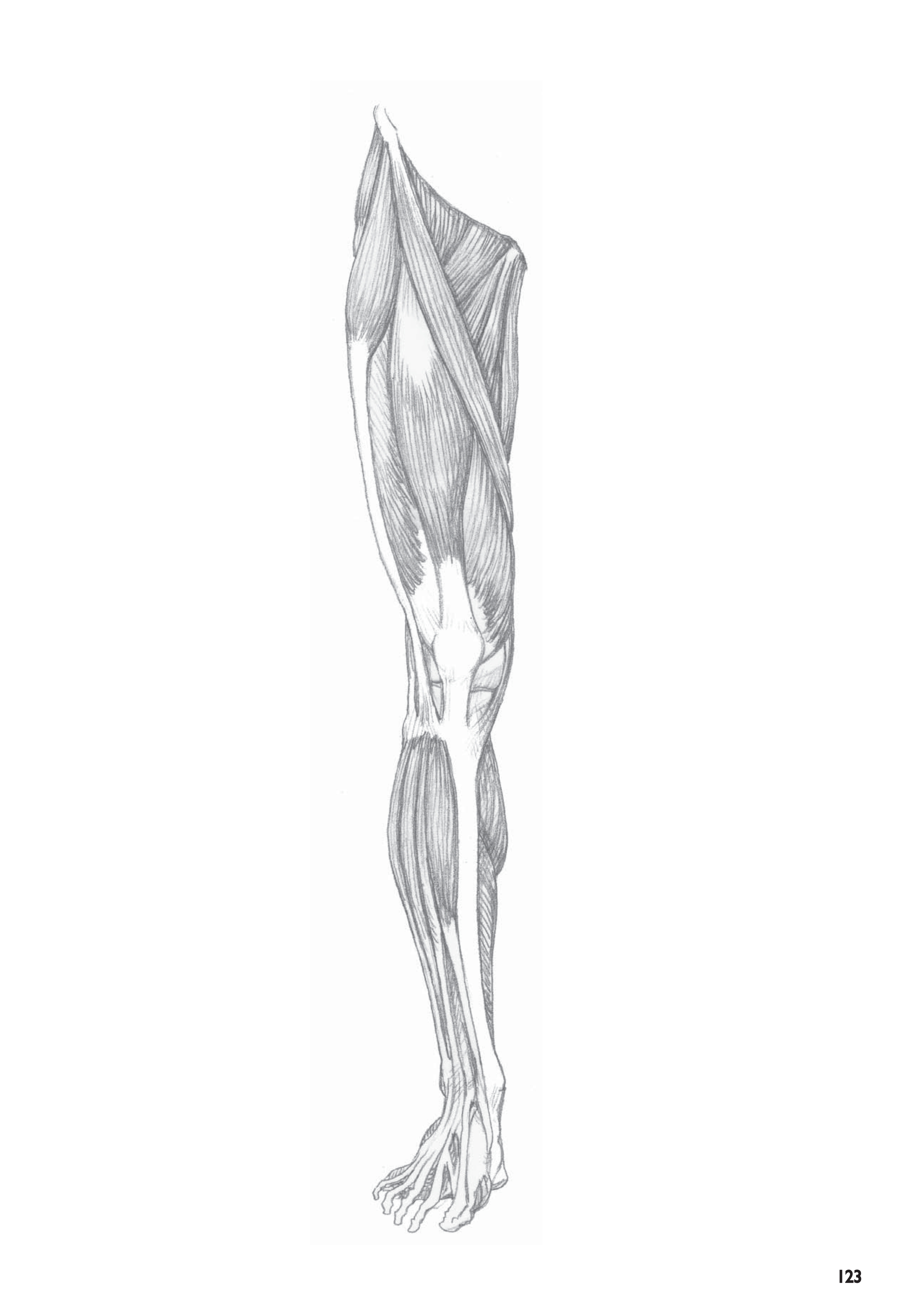 آموزش نقاشی طراحی سیاه قلم شهرری